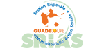 Groupe CSF - Vie associative : ils nous font confiance - SRIA Guadeloupe